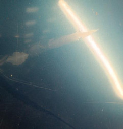 Capot PEUGEOT 406 Photo n°3