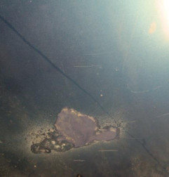 Capot PEUGEOT 406 Photo n°6