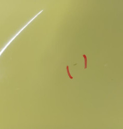 Aile avant gauche CITROEN C1 1 Photo n°3