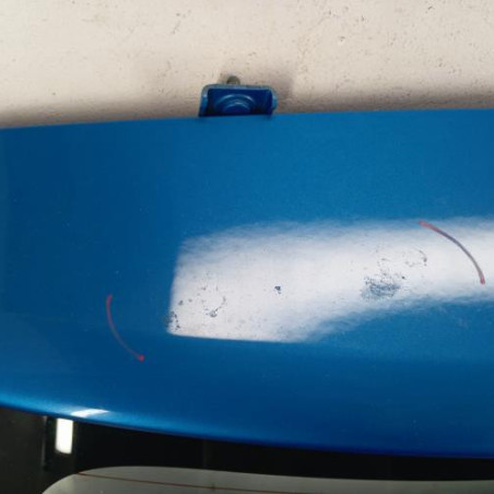 Malle/Hayon arriere DACIA SANDERO 2