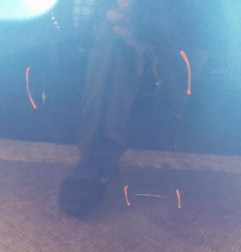 Porte avant droit DACIA SANDERO 2 Photo n°3