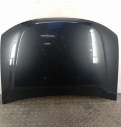 Capot DACIA DUSTER 1 Photo n°1