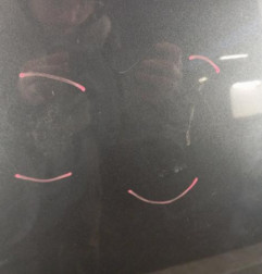 Capot DACIA DUSTER 1