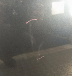 Capot DACIA DUSTER 1 Photo n°3