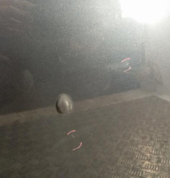 Capot DACIA DUSTER 1 Photo n°4