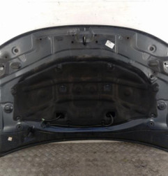 Capot DACIA DUSTER 1 Photo n°8