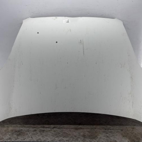 Capot FIAT DOBLO 2 Photo n°1