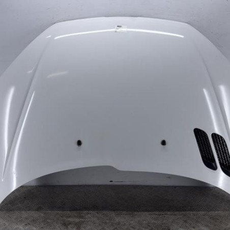 Capot PEUGEOT 206 Photo n°1