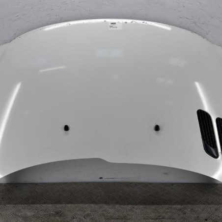 Capot PEUGEOT 206+ Photo n°1