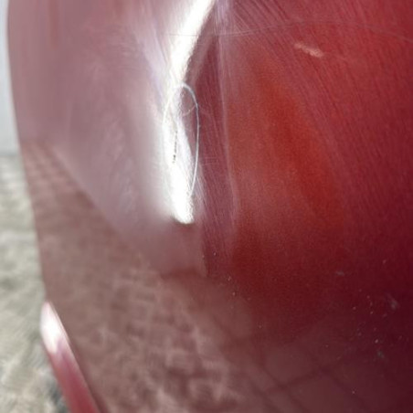 Porte arriere gauche DACIA SANDERO 1