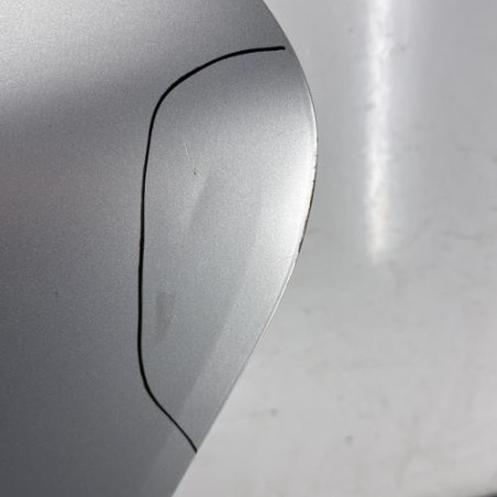 Porte arriere gauche CITROEN C4 PICASSO 2