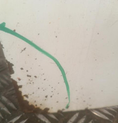 Porte avant gauche FIAT DUCATO 3 Photo n°3