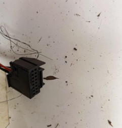 Retroviseur droit AUDI A3 2 Photo n°3