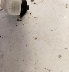 Retroviseur droit DACIA SANDERO 2 Photo n°4