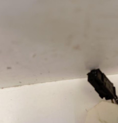 Retroviseur gauche PEUGEOT 308 1 Photo n°4