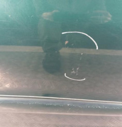 Porte arriere gauche PEUGEOT 206