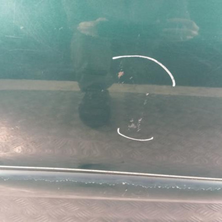 Porte arriere gauche PEUGEOT 206