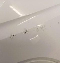 Pare choc arriere VOLKSWAGEN UP Photo n°5