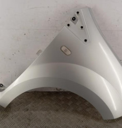 Aile avant droit RENAULT TWINGO 2 Photo n°1