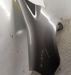 Aile avant gauche RENAULT GRAND MODUS Photo n°4
