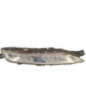 Feu diurne avant droit CITROEN C4 PICASSO 2
