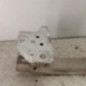 Renfort pare choc avant (traverse) RENAULT CLIO 3