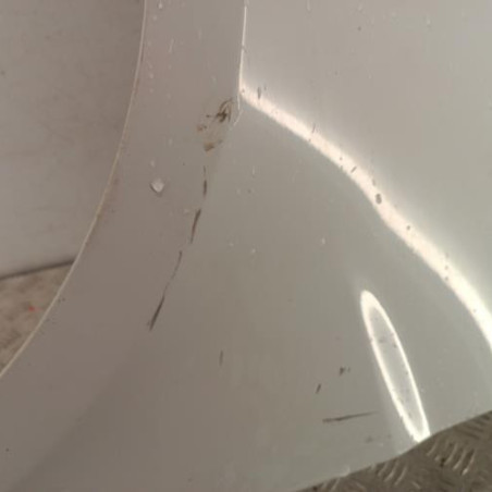 Aile avant gauche RENAULT CLIO 3