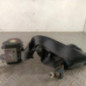 Ceinture avant gauche DACIA DUSTER 1