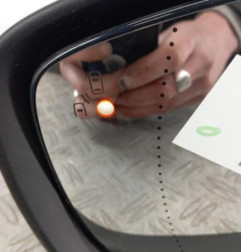 Retroviseur gauche RENAULT KADJAR