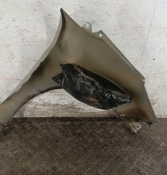 Aile avant gauche FORD FIESTA 6