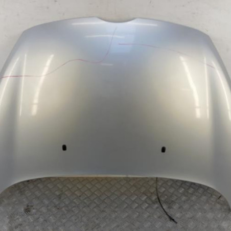 Capot FORD FIESTA 6 Photo n°1