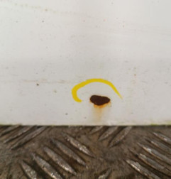 Porte avant gauche PEUGEOT 308 2 SW Photo n°3