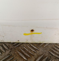 Porte avant gauche PEUGEOT 308 2 SW Photo n°4