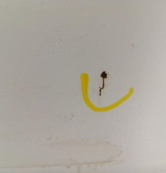 Porte avant gauche PEUGEOT 308 2 SW Photo n°5