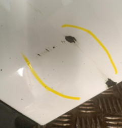 Pare choc arriere RENAULT CLIO 4 Photo n°5