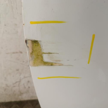 Porte avant gauche RENAULT CLIO 4