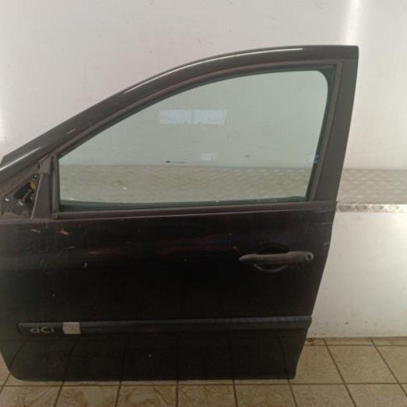 Porte avant gauche RENAULT CLIO 3
