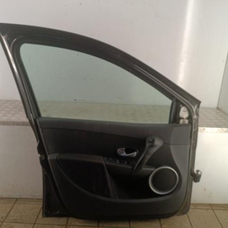 Porte avant gauche RENAULT CLIO 3
