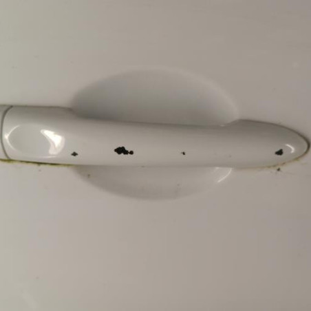 Porte avant droit RENAULT CLIO 4