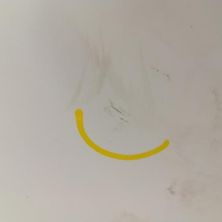 Porte avant gauche RENAULT KANGOO 2