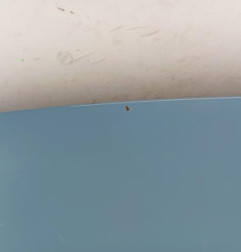 Capot KIA PICANTO 2 Photo n°4