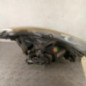 Optique avant principal gauche (feux)(phare) RENAULT CLIO 3