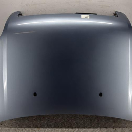 Capot FORD FUSION Photo n°1