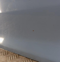 Porte avant gauche KIA PICANTO 2 Photo n°4