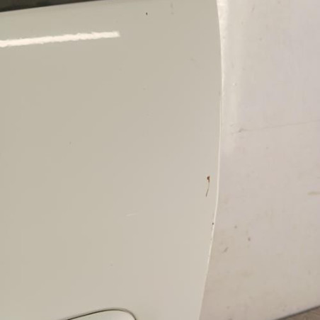 Porte avant gauche RENAULT MEGANE 3