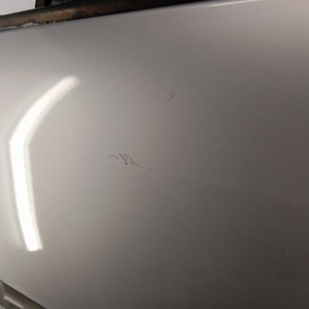 Porte arriere gauche RENAULT SCENIC 2