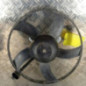 Ventilateur eau VOLKSWAGEN POLO 5