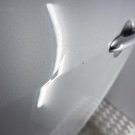 Porte arriere gauche RENAULT SCENIC 3