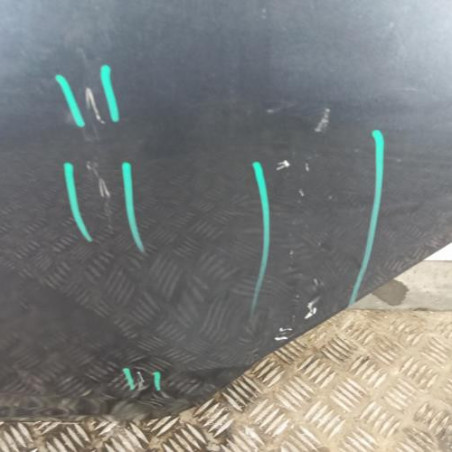 Porte arriere gauche NISSAN MICRA 5