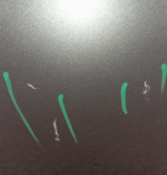 Porte arriere droit PEUGEOT 607